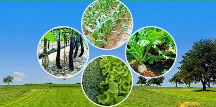 十方技术成功签约智邦国际ERP系统,实现销售订单执行进度的全局性跟踪